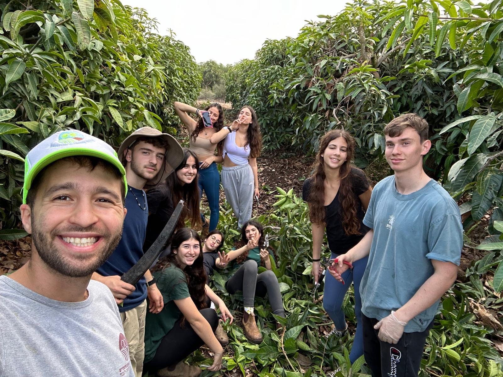 בני נוער עובדים בקטיף